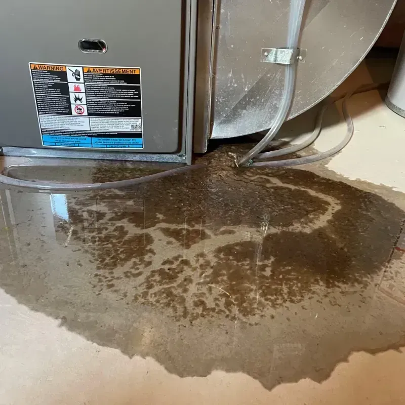 Appliance Leak Cleanup in Ward County, TX